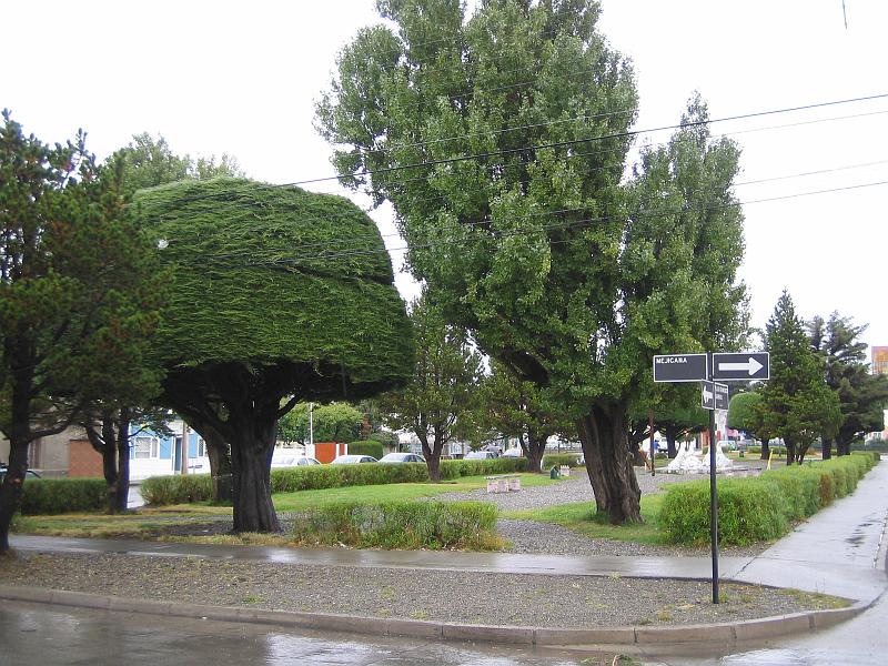 img_4385.jpg - Punta Arenas