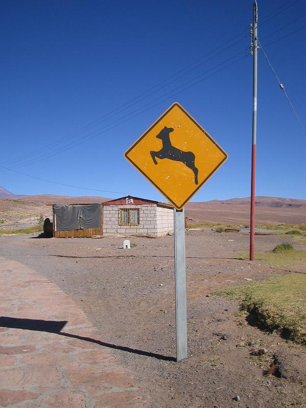 img_5398.jpg - San Pedro de Atacama