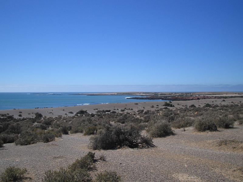 img_3952.jpg - Punta Tombo