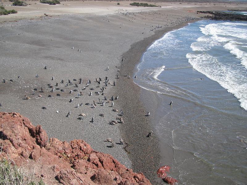 img_3966.jpg - Punta Tombo