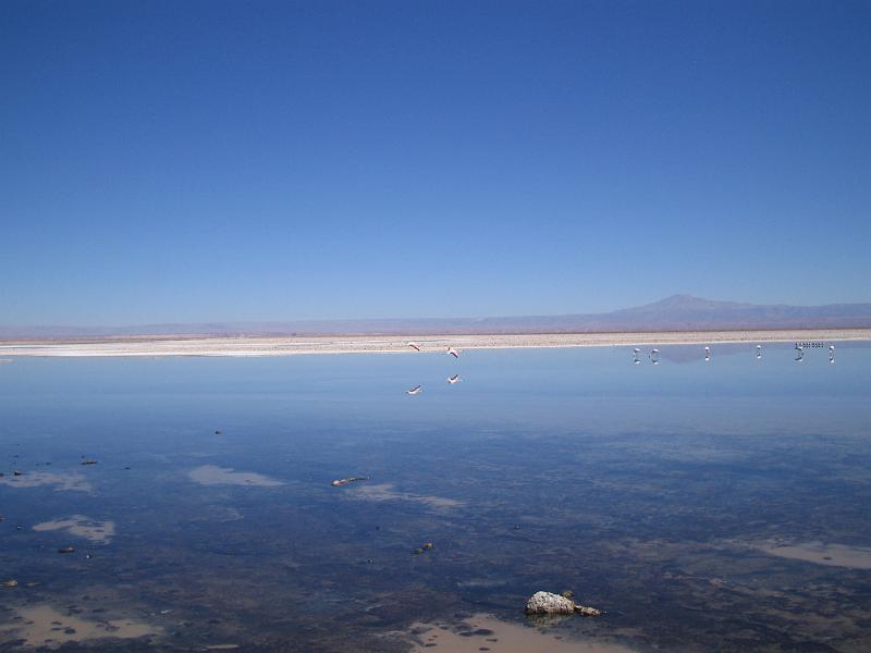 img_5347.jpg - Salar de Atacama