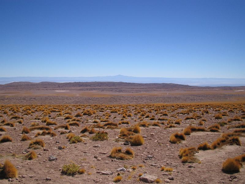img_5363.jpg - San Pedro de Atacama