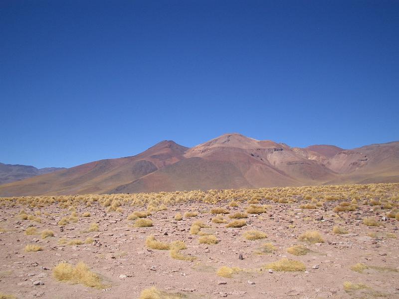 img_5365.jpg - San Pedro de Atacama